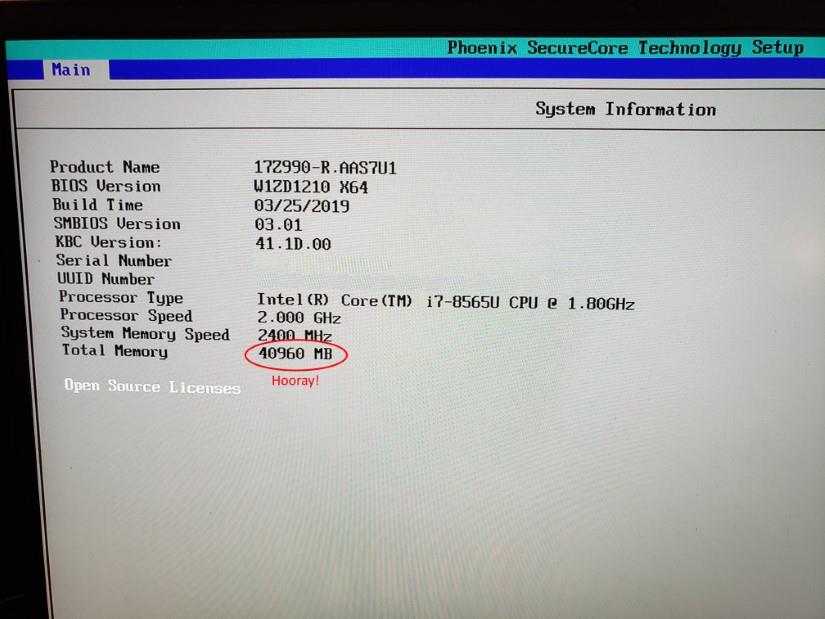 LG Gram BIOS With New RAM Installed